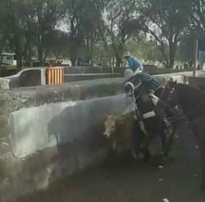 Meet your Posher, Carlos